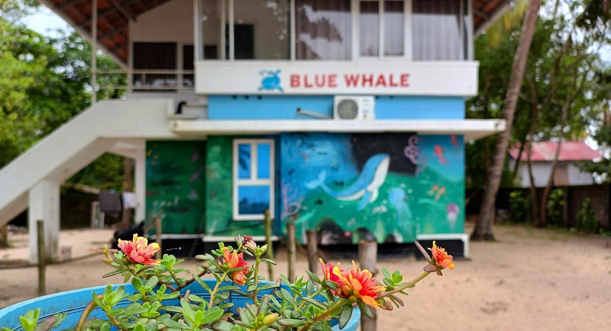 Marari Blue Whale Beach House Alappuzha Buitenkant foto