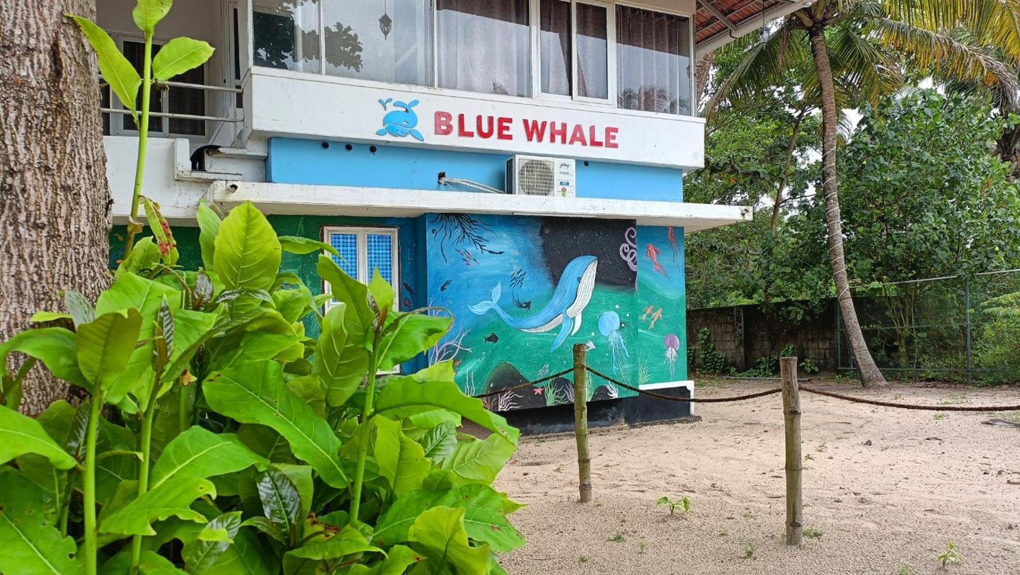Marari Blue Whale Beach House Alappuzha Buitenkant foto